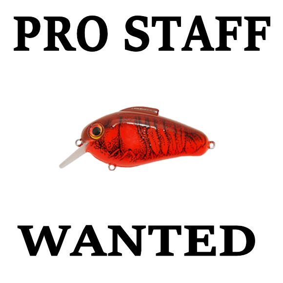 fishing-pro-staff-wanted-at-bill-lewis-lures-b.jpg