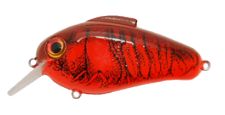 fishing-pro-staff-wanted-at-bill-lewis-lures.jpg
