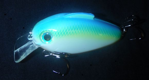Melvin Smitson :: Where To Buy The Bill Lewis ECHO In Citrus Shad Color