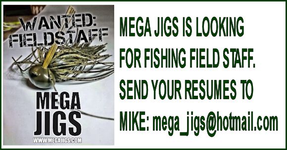 fishing-field-staff-wanted-at-mega-jigs-a.jpg